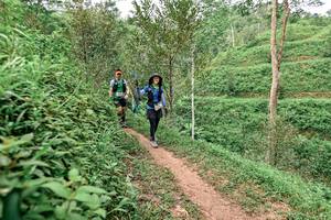 BIB: 
                            <button type="button" onclick="openModal(24878304)" class="btn btn-primary btn-sm float-right btn-popup" data-toggle="modal" data-target=".modal-high-quality">
                        <i class="fas fa-shopping-cart"></i> Add to Cart
                    </button>
                                            <button type="button" onclick="isThisMe(24878304, true)" class="btn btn-success btn-sm float-right btn-popup btn-isme hidden" data-toggle="tooltip" data-placement="bottom" title="นี่คือรูปของคุณใช่ไหม คลิกที่นี่เพื่อเอาเข้าอัลบั้ม">
                        <i class="fas fa-plus"></i> Add to album
                    </button>
                    <button type="button" onclick="isThisMe(24878304, false)" class="btn btn-warning btn-sm float-right btn-popup btn-isnotme hidden">
                        <i class="fas fa-ban"></i> Remove from album
                    </button>